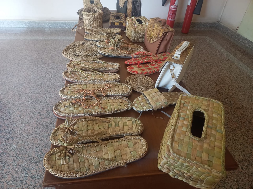 Initiative of the RCTWS, within the scope of its responsibilities and community engagement.