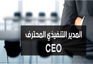 Professional Executive Director CEO